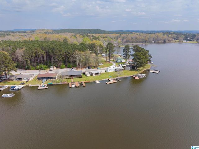 50 NEW SHELBY PENINSULA DRIVE, Shelby, AL 35143