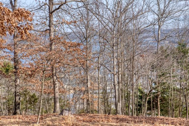 3858 Mundell Road, Eureka Springs, AR 72631