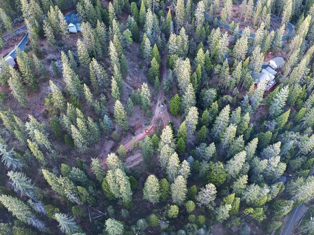 1914 War Hawk Way, Arnold, CA 95223