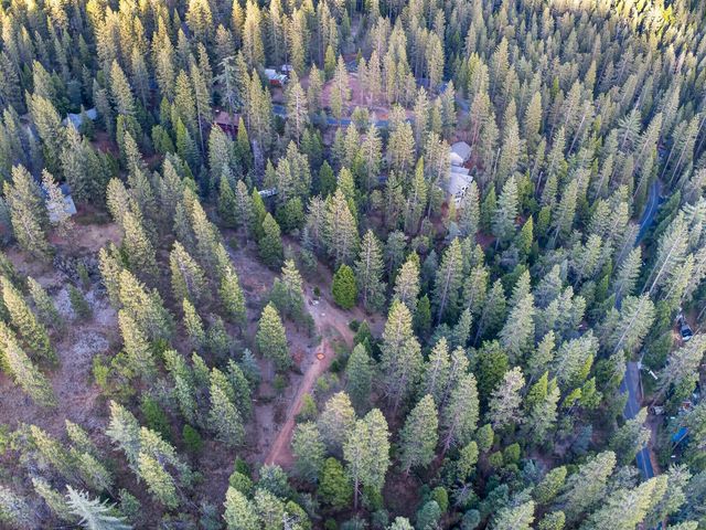 1914 War Hawk Way, Arnold, CA 95223