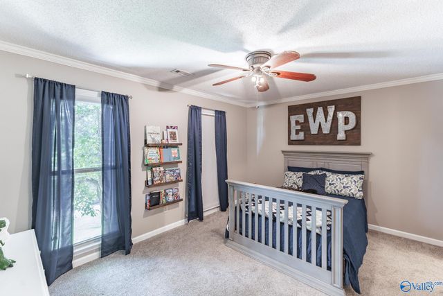 2406 Auburn Drive, Decatur, AL 35603