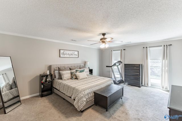 2406 Auburn Drive, Decatur, AL 35603