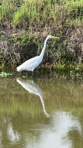 13469 Vía Vesta A, Delray Beach, FL 33484