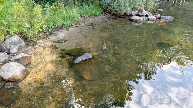 8159 Ludlow Road, Cook, MN 55723