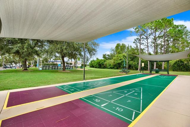 21054 DIAMONTE DR, Land O Lakes, FL 34637