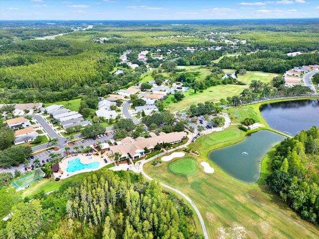 21054 DIAMONTE DR, Land O Lakes, FL 34637