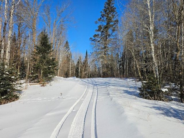 21601 300th Street, Bagley, MN 56621