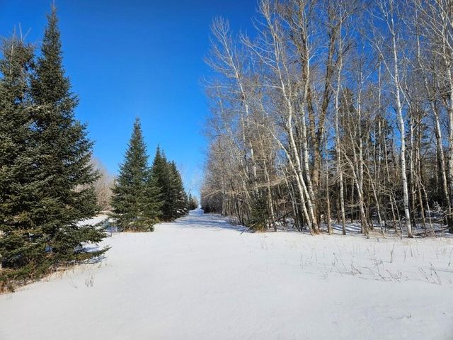 21601 300th Street, Bagley, MN 56621