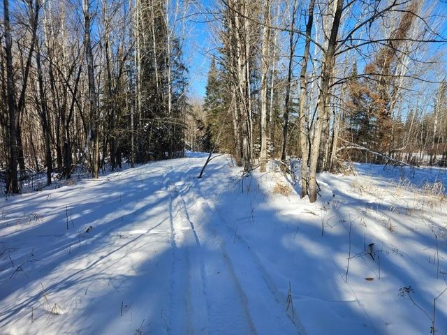 21601 300th Street, Bagley, MN 56621