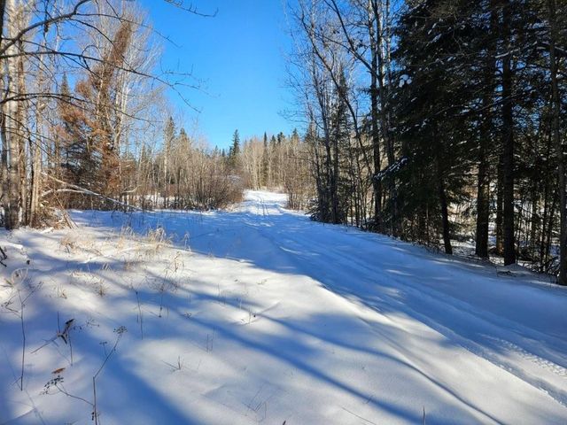 21601 300th Street, Bagley, MN 56621