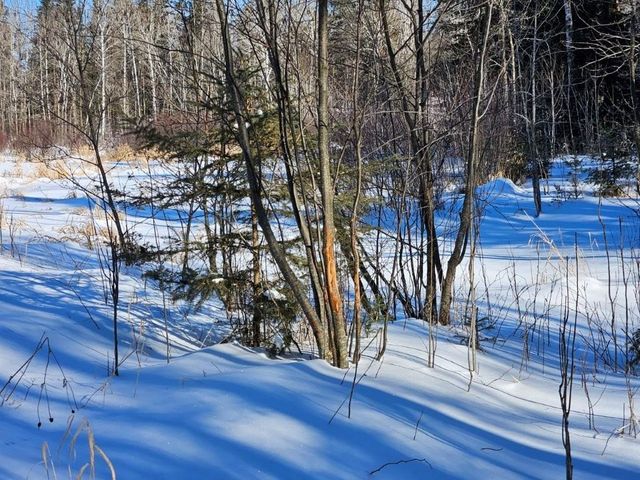 21601 300th Street, Bagley, MN 56621