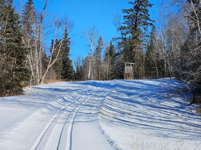 21601 300th Street, Bagley, MN 56621