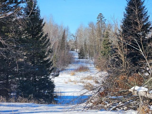 21601 300th Street, Bagley, MN 56621