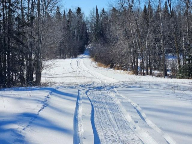 21601 300th Street, Bagley, MN 56621