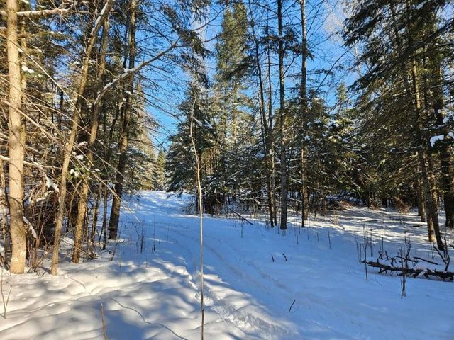 21601 300th Street, Bagley, MN 56621