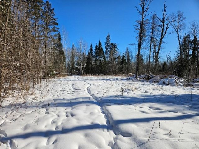 21601 300th Street, Bagley, MN 56621