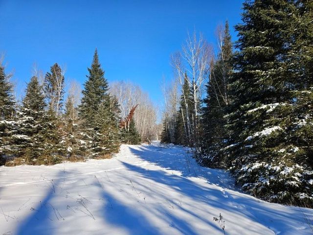 21601 300th Street, Bagley, MN 56621