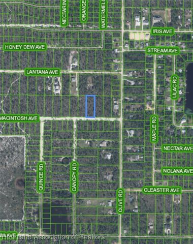 2020 Macintosh Avenue, Sebring, FL 33875