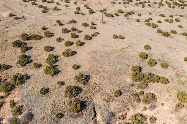 10500 INDIAN CAMP Trail, Canyon, TX 79015