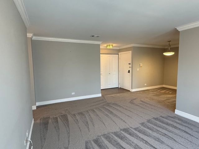 298 Maplewood Court D2, Schaumburg, IL 60193