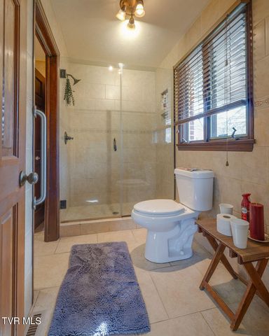 250 Hummingbird Lane, Unicoi, TN 37692