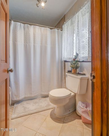 250 Hummingbird Lane, Unicoi, TN 37692