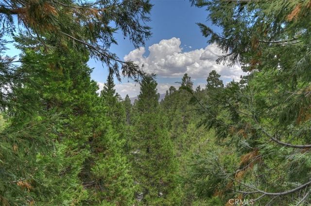28986 Alder Terrace, Lake Arrowhead, CA 92321