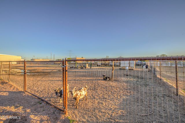 1687 E Lobo Street, San Tan Valley, AZ 85140