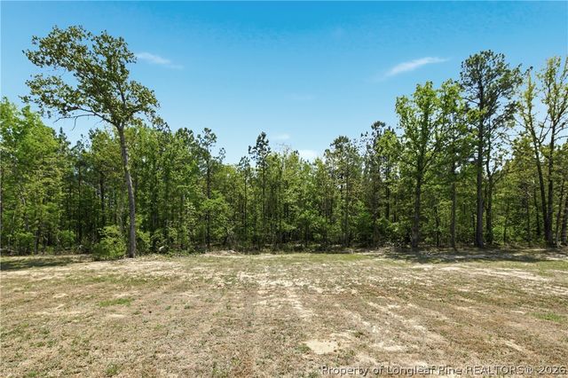 254 Collier Gate Street, Linden, NC 28356