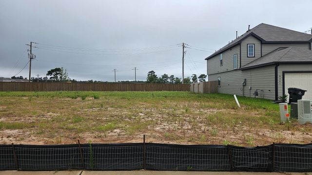 9277 Crestone Peak Drive, Willis, TX 77318