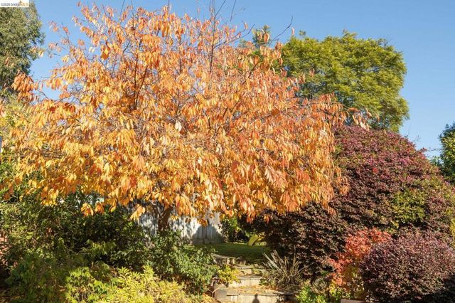 4452 4452 Davenport Ave, Oakland, CA 94619