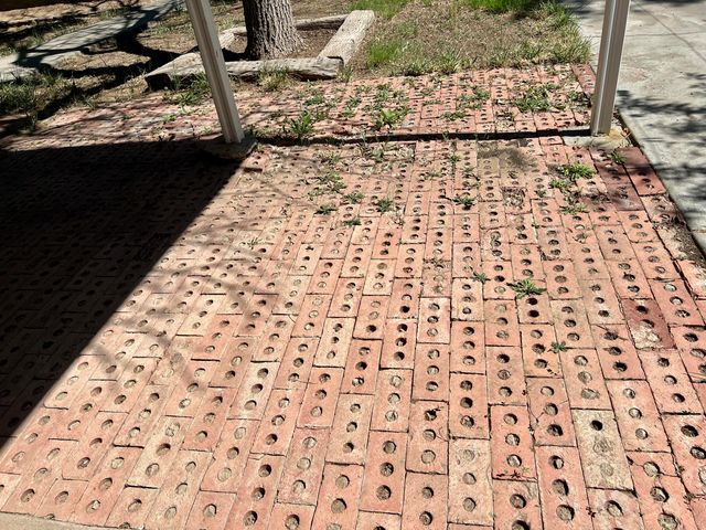 1010 SANTA ANITA Drive, Belen, NM 87002