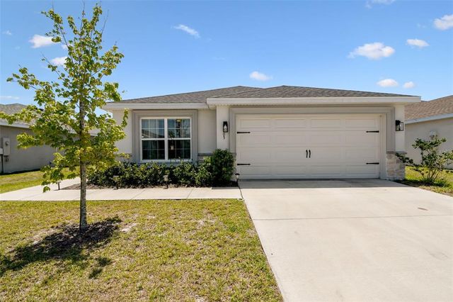 105 BLUE ALICE SPRING COURT, Ruskin, FL 33570