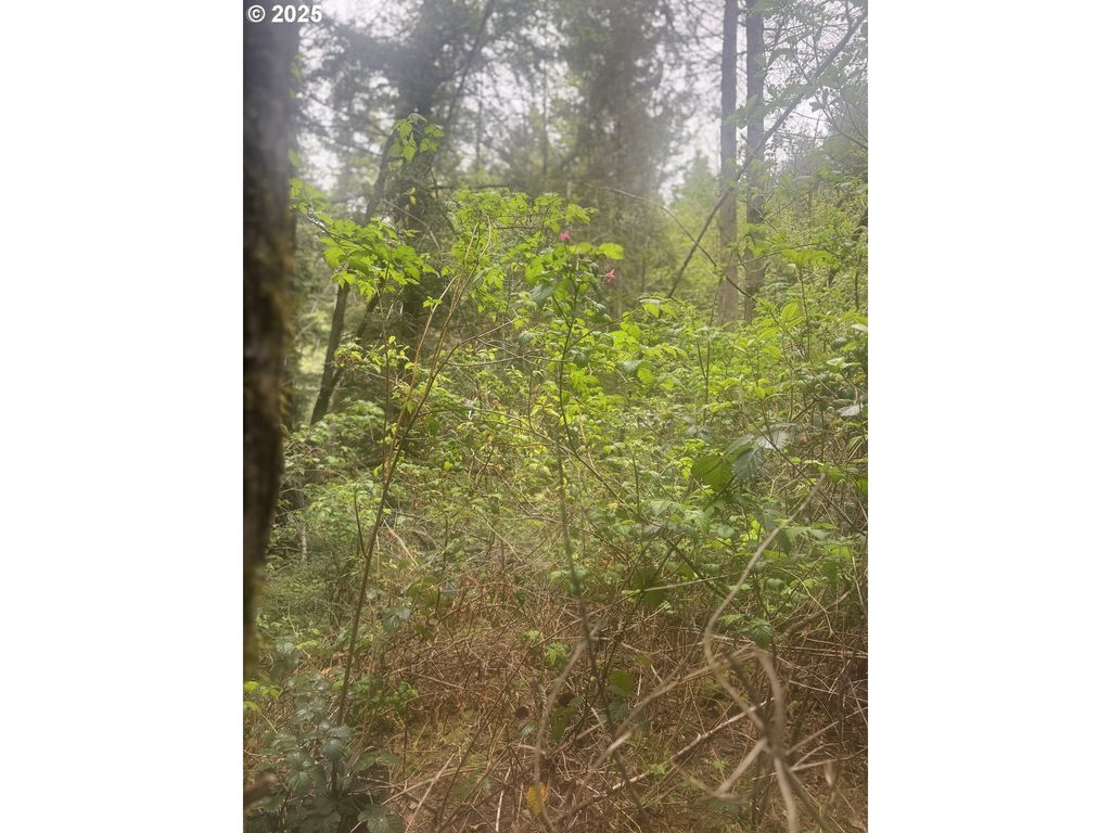 0 GRAHAM St, Coos Bay, OR 97420