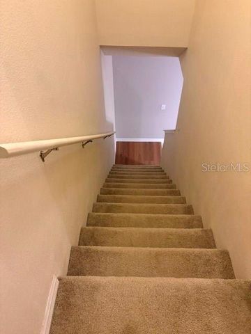 18157 PARADISE POINT DRIVE, Tampa, FL 33647