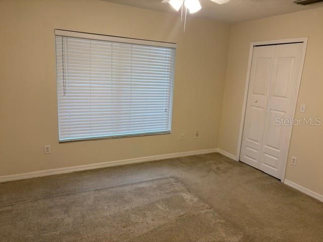 18157 PARADISE POINT DRIVE, Tampa, FL 33647