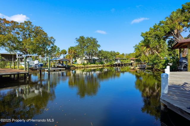 5995 S Shadytree Path, Homosassa, FL 34448