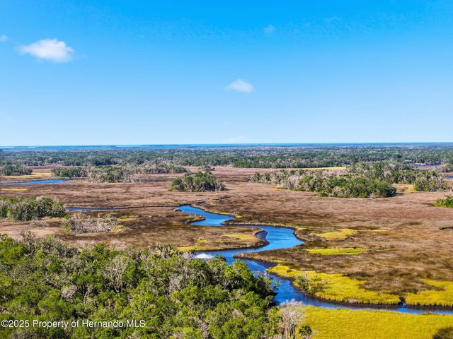 5995 S Shadytree Path, Homosassa, FL 34448