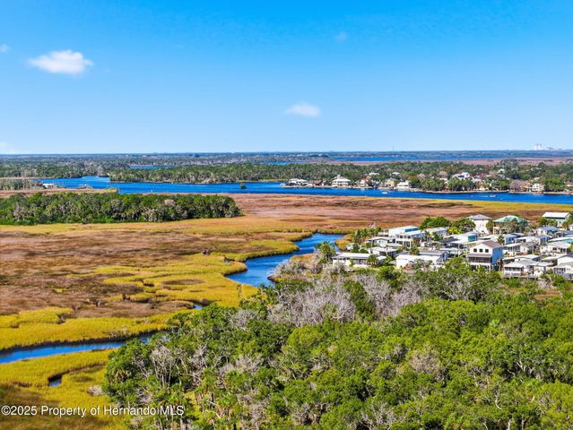 5995 S Shadytree Path, Homosassa, FL 34448