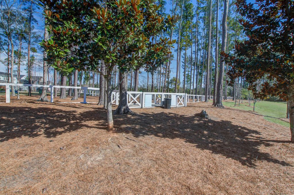 Image 50 of property listing at 126 Clearblue Loop, Summerville, SC 29486