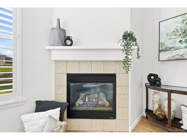 485 Elmhurst Way C, Highlands Ranch, CO 80129