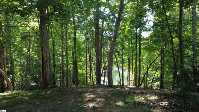 601 Wind Flower Drive, Sunset, SC 29685