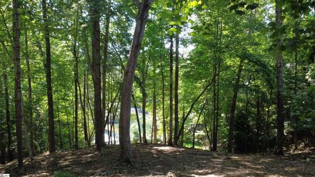 601 Wind Flower Drive, Sunset, SC 29685