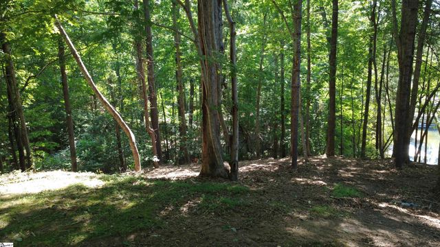 601 Wind Flower Drive, Sunset, SC 29685