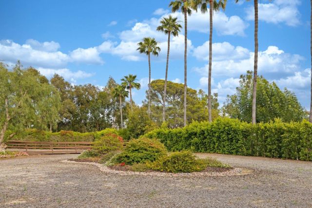 16822 Zumaque St, Rancho Santa Fe, CA 92067