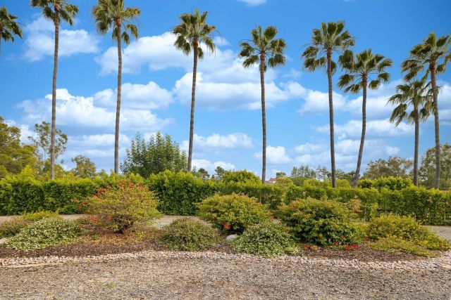 16822 Zumaque St, Rancho Santa Fe, CA 92067
