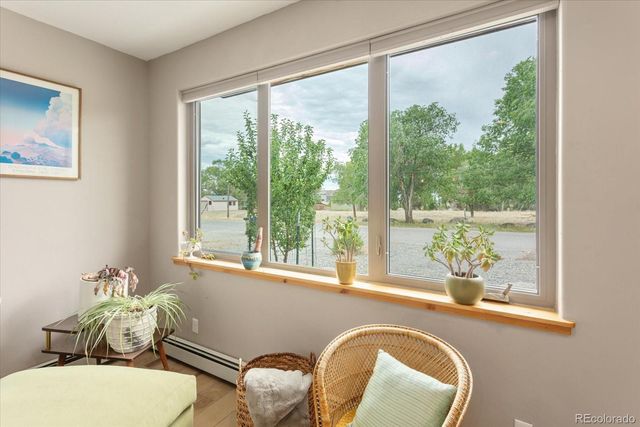 463 California Street, Buena Vista, CO 81211