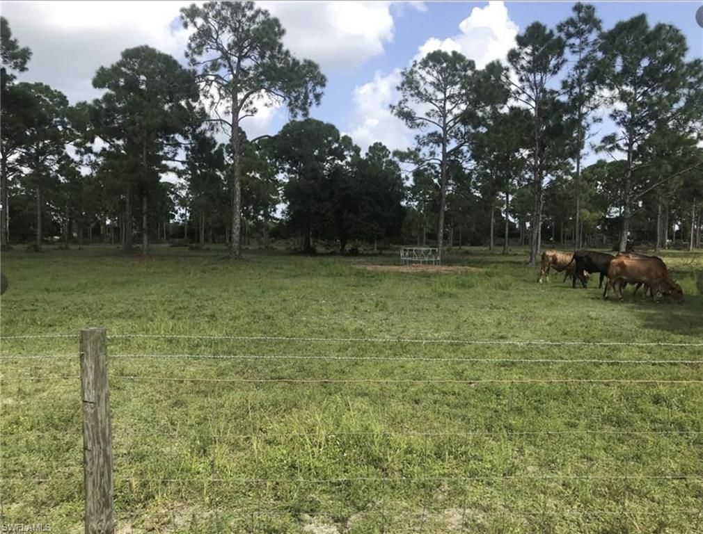 3220 ANDALUSIA BLVD, CAPE CORAL, FL 33909 — exterior