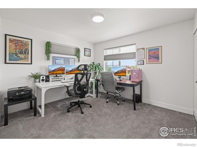 2771 Red Wheat Trail, Berthoud, CO 80513