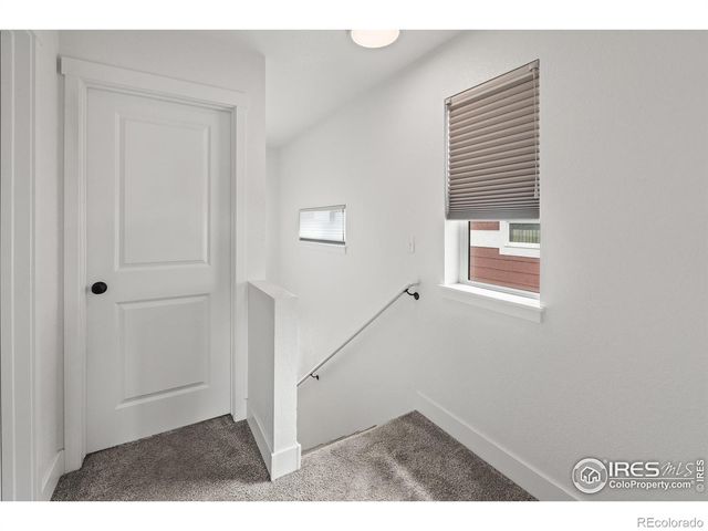 2771 Red Wheat Trail, Berthoud, CO 80513